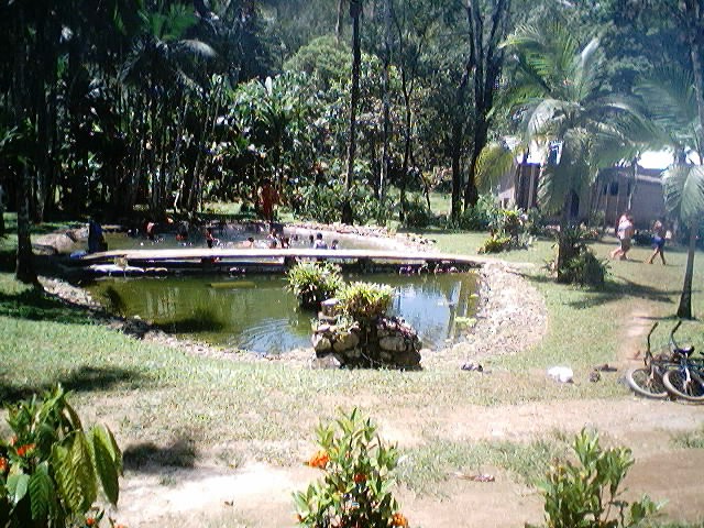 Imagem 17 de 18  -  137 kB